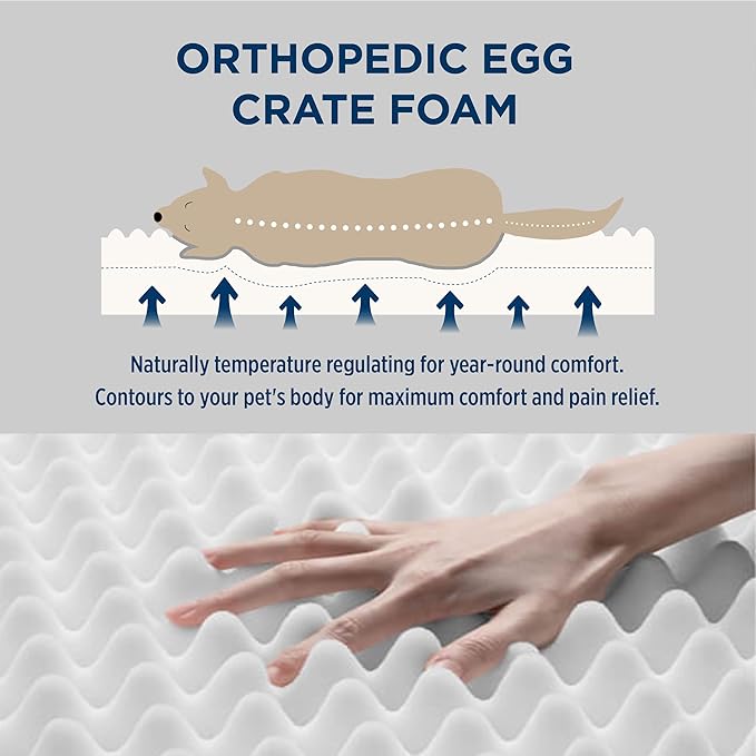 Bedsure XL Dog Beds Large Sized Dog - Extra-Large Orthopedic Flat Puppy Bed with Removable Washable Cover, Egg Crate Foam Pet Mat, Suitable for Pet Up to 100 lbs