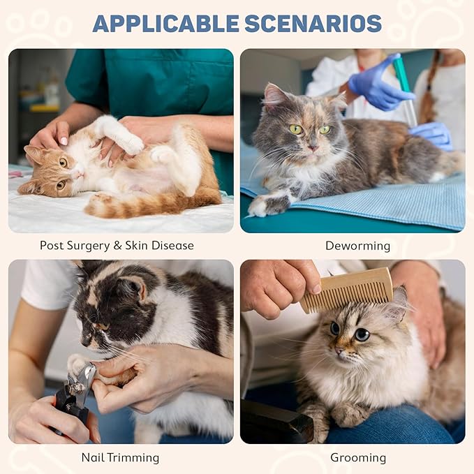 Avont Soft Cat Recovery Cone Collar, Adjustable Lightweight Kitten E-Collar for Small Dogs, Comfortable Neck Donut Stop Licking Scratching After Surgery -Purple(S)