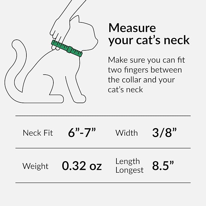 CollarDirect Leather Cat Collar with Removable Bell – Safety Kitten Collar with Elastic Strap (Yellow, 15 - 18 cm)