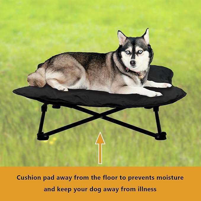 Elevated Dog Bed, Portable Raised Pet Cot for Outdoor and Indoor Folding Dog Cot Bed with Padded Filling Carrying Bag Included Pet Raised Travel Lounger for Camping Traveling (36x36x12inch)