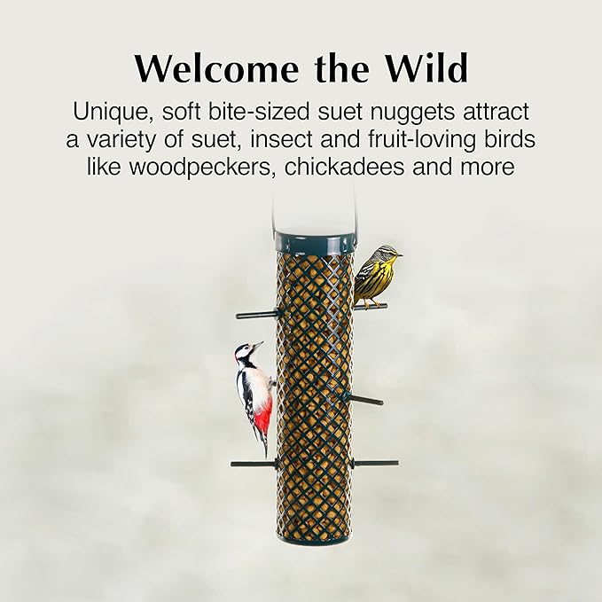 C&S Sunflower Suet Nuggets, Suet Nuggets for Wild Birds, 27 Ounces