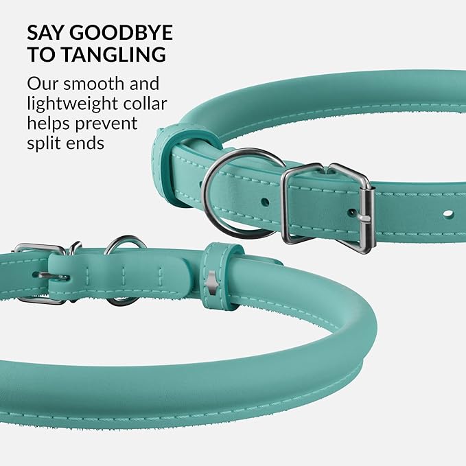 CollarDirect Rolled Leather Dog Collar, Soft Padded Round Puppy Collar, Handmade Genuine Leather Collar Dog Small Large Cat Collars 13 Colors (6 Inch, Mint Green Smooth)