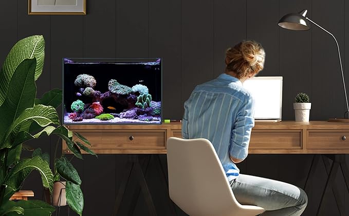 Landen 45P 20 Gallon Ultra Clear All Glass Rimless Low Iron Aquarium Tank with Rear Filtration Chamber(Return Pump Included)for Salt and Fresh Water.17.7''Wx17.7''Dx15.8''H in(45x45x40cm)6mm Thickness