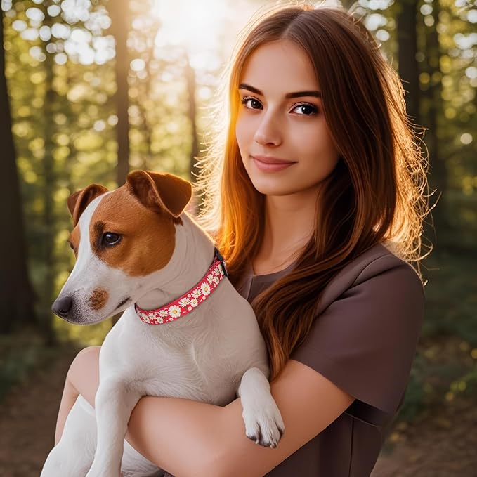 HEELE Dog Collar, Adjustable Soft Dog Collar for Small Medium Large Dogs,Daisy Floral Patterned Puppy Collars with Quick Release Buckle Daisy Red S Length 9.84''-14.96'