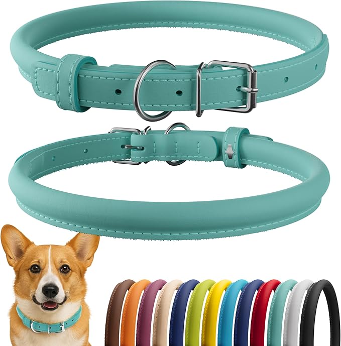 CollarDirect Rolled Leather Dog Collar, Soft Padded Round Puppy Collar, Handmade Genuine Leather Collar Dog Small Large Cat Collars 13 Colors (11-14 Inch, Mint Green Smooth)