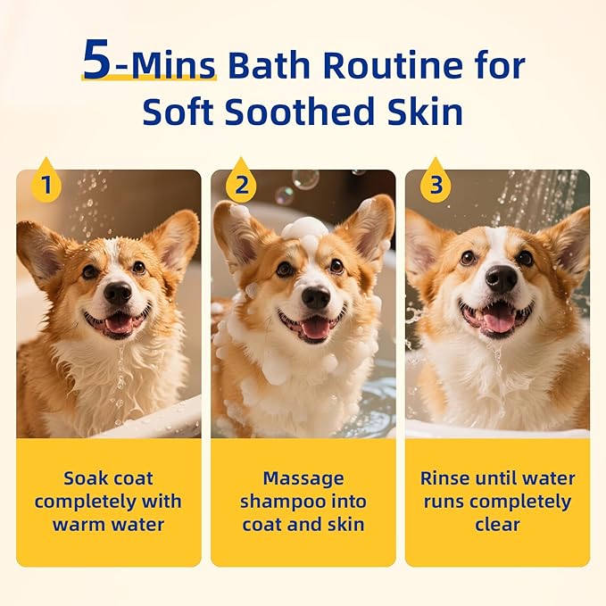 Unipaws Probiotic Dog Shampoo for Short-Haired Coats – Itch Relief, Deodorizing & Hydrating for Healthy, Fresh Skin with Calendula & Oatmeal – EWG Green & White Tea Scent, Made in Korea, 16.9 Fl Oz