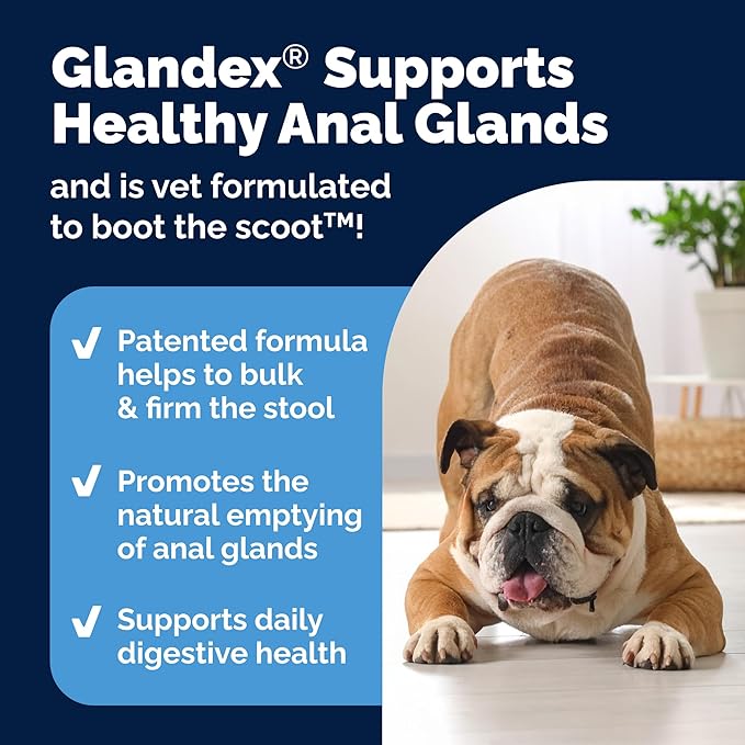 Glandex Dog Fiber Supplement Powder for Anal Glands with Pumpkin, Digestive Enzymes & Probiotics - Vet Recommended (Regular or Advanced Strength) - Boot The Scoot (5.5oz Powder, Beef Liver)