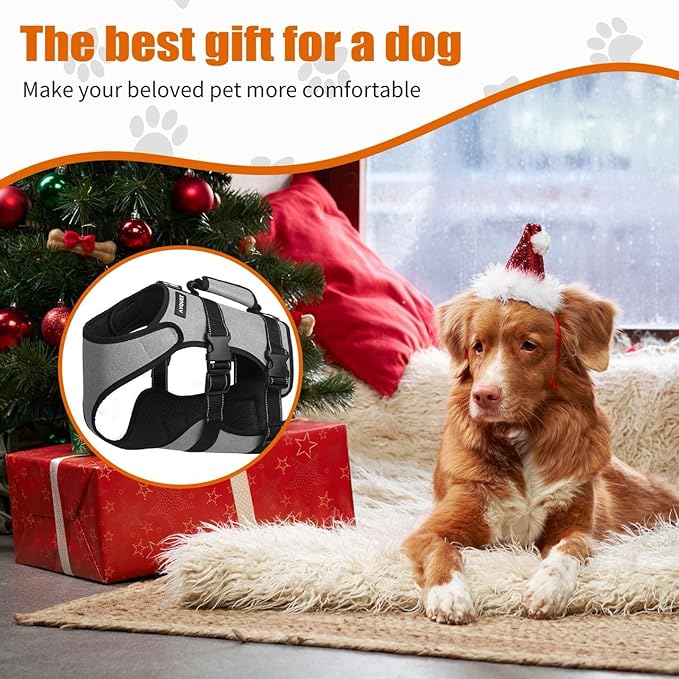 Ayquez Dog Lift Harness with Storage and Transport Bag, Dog Harness with Handle for Lifting & Hip dysplasia, arnés para Perros pequeños, pechera para Perros (Gray, M)