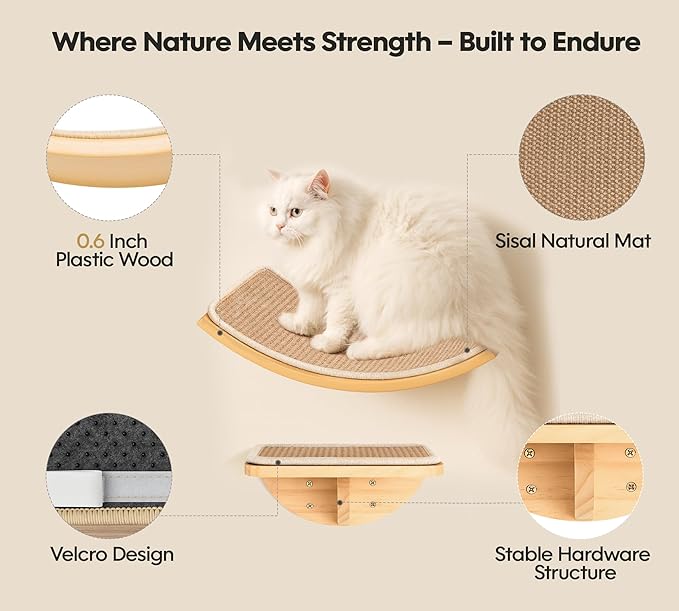 Cat Window Perches, Curved Cat Wall Sisal Mat Bed and 2 Floating Wall Steps, Wall Mounted Climbing Shelves for Sleeping, Playing, and Lounging
