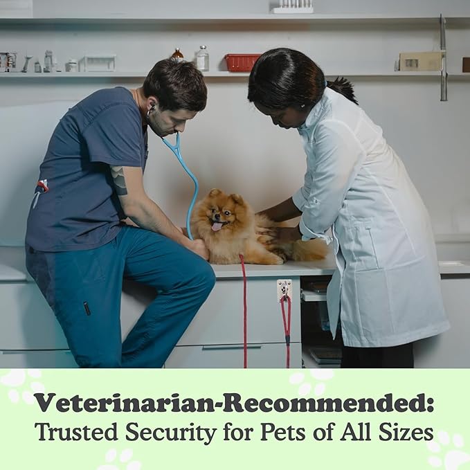 Canine Hitch- Secure Dog Leash Parking Mounted Indoor – Outdoor Wall Hook - Tie Out Stainless Steel Practical Lead Management for Home & Business, Ultimate Strength 2 Pack