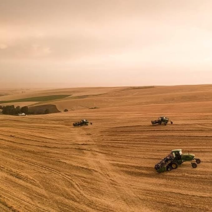 Blue Mountain Hay | Fresh Organic Meadow Hay (40 Ounce) | Mimics Natural Forage | High-Altitude Hay Pet Food for Rabbits, Guinea Pigs, Chinchillas, Hamsters, and Other Small Pets