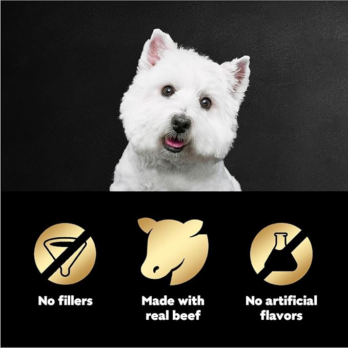 Cesar Filets in Gravy Wet Dog Food Filet Mignon Flavor, 1.76 oz. Mini-Pouch (20 Count, Pack of 1)