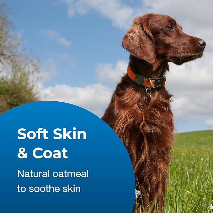 PetAg Fresh ’n Clean Oatmeal ’n Baking Soda Shampoo - Tropical Fresh Scent (15:1 Concentrate) - 1 Gallon - Nurtures Dry, Itchy Skin with Vitamin E & Aloe - Strengthens & Repairs - Soap Free