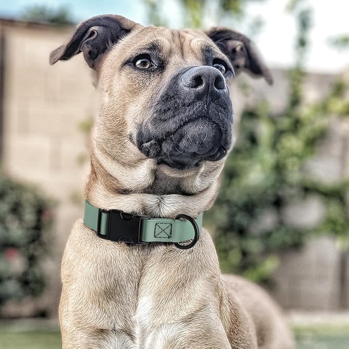 Dogline Biothane Waterproof Dog Collar with Quick Release Buckle Strong Coated Nylon Webbing with Odor- Proof for Easy Care Easy to Clean Fits Small Medium Large Dogs, Sage Green 1" W 15-23" L