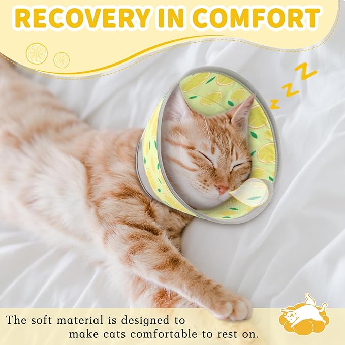 Cat Cone Collar Soft, Comfortable Cat Recovery Collar Pet Cone for Small Large Cats, Lightweight Elizabethan Collar for Cats Kittens After Surgery Prevent from Licking Wounds, Yellow, M
