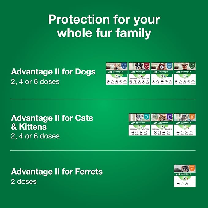 Advantage II Small Cat Vet-Recommended Flea Treatment & Prevention | Cats 5-9 lbs. | 3-Month Supply