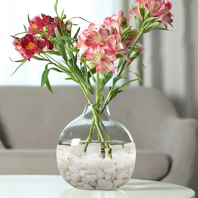 5 lbs White Pebbles for Indoor Plants, 3/8 Inch Decorative White Gravel, Polished River Rocks for Potted Plants Vase Cactus Bird Bath and Outdoor Garden Landscaping