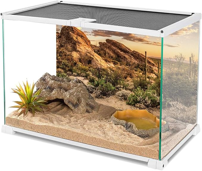 AWERT Reptile Habitat Background Blue Sky Oasis Cactus Sun and Desert Terrarium Background 30x18 inches Durable Polyester Background