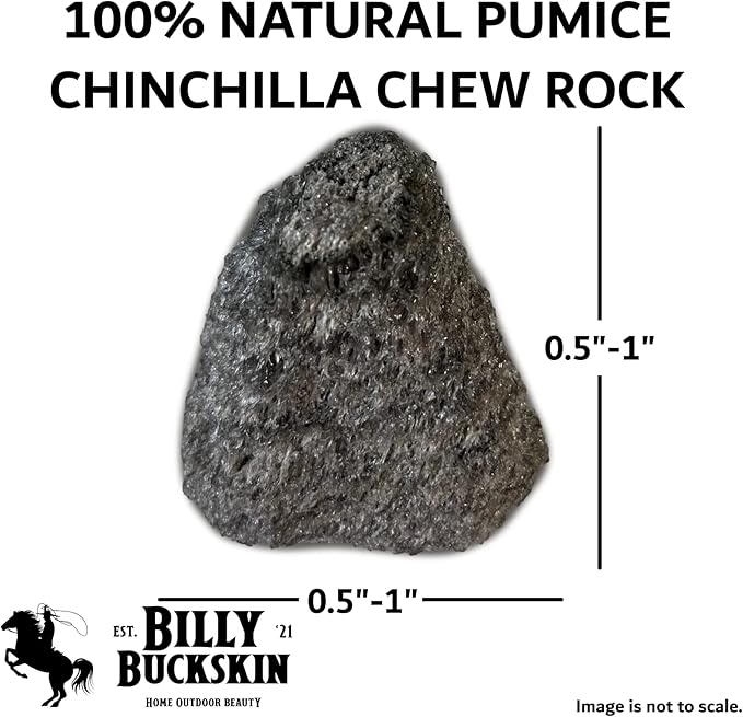 Chew Toys for Chinchilla, Lava Block Toys for Small Pet Animals like Rat, Mice, Bunny, Hamster, Degus, Gerbils, Pumice Blocks, Guinea Pig Toy, Rabbit Chew Toy by Billy Buckskin - Pack of 8
