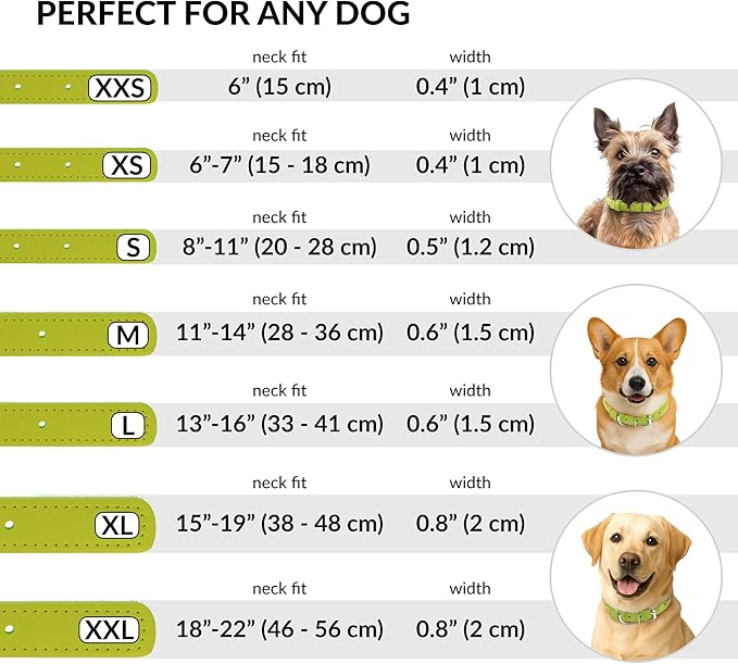 CollarDirect Rolled Leather Dog Collar, Soft Padded Round Puppy Collar, Handmade Genuine Leather Collar Dog Small Large Cat Collars 13 Colors (6-7 Inch, Lime Green Smooth)