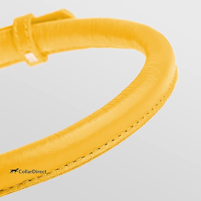 CollarDirect Rolled Leather Dog Collar, Soft Padded Round Puppy Collar, Handmade Genuine Leather Collar Dog Small Large Cat Collars 13 Colors (11-14 Inch, Yellow Textured)