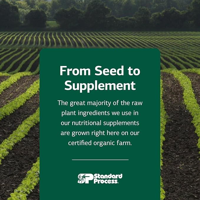 Standard Process Inc. Canine Whole Body Support - Multisystem Support Supplement for Canines - Nutritional Powder for Daily Health Maintenance - Multisystem Supplement Formula - 100 g