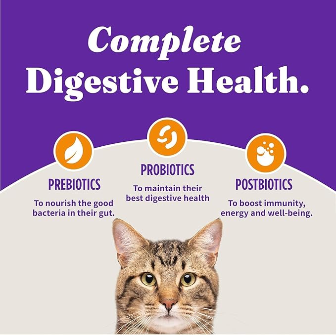 Halo Holistic Cage Free Chicken Cat Food, Healthy Grains Dry Cat Food, Complete Digestive Health, Kibble for Adult Cats, 6 lb Bag