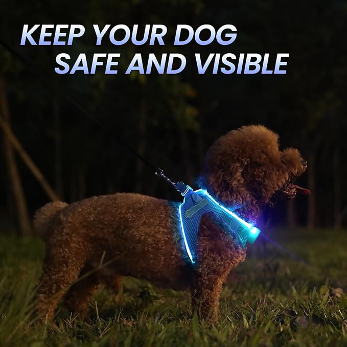 PceoTllar Light Up Dog Harness, LED No Pull Reflective Dog Harness, Flashing Lighted for Night Walking - Small/Medium, (Blue XS)