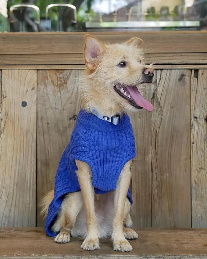 Blueberry Pet Essentials Matching Large Dog Collar | Adjustable Classic Solid Color Nylon Dog Collars for Large Dogs | Chambray Blue Dog Collar for Large Dogs