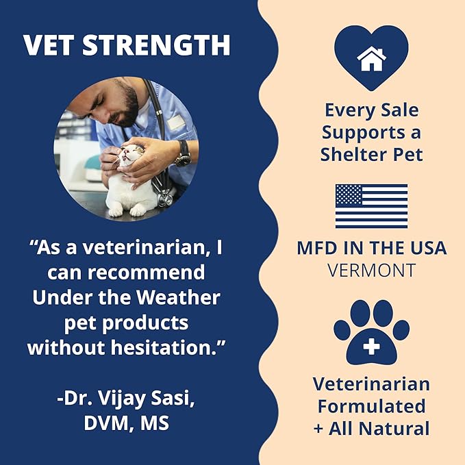 Under the Weather Ready Cal Powder for Cats | High-Calorie Weight Gainer & Appetite Stimulant | Cat Energy Booster Veterinarian-Approved Pet Supplement with Vitamins & Minerals | Chicken Flavor