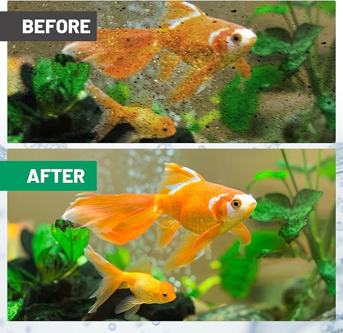 8 Count Medium Filter Cartridges Compatible with Whisper Bio Bag Filters, Large Aquarium Filter Cartridge for Whisper 10i/IQ10/PF10 and Repto Filter 90 GPH