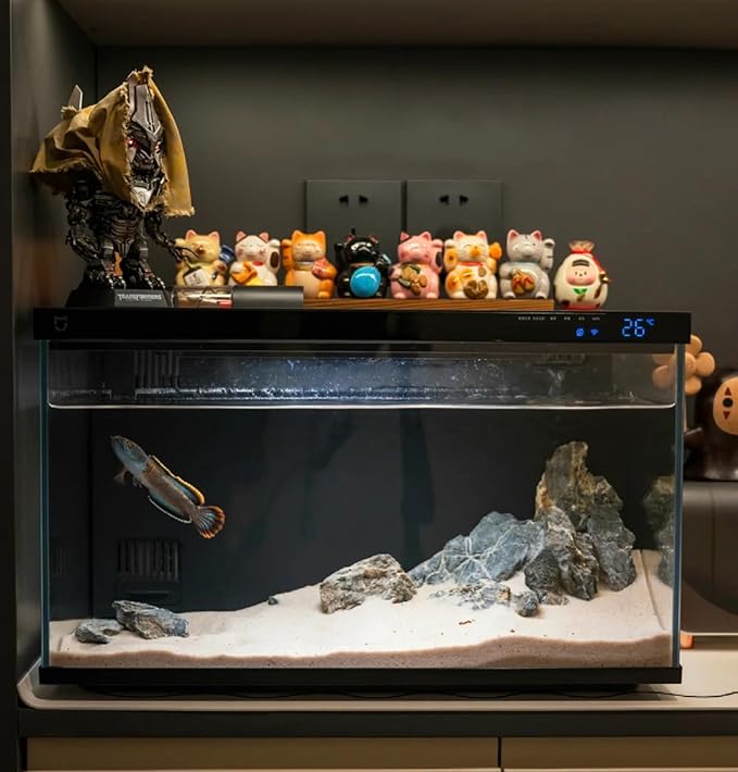 Natural Seiryu Dragon Stone - 11 Pound Aquarium Rock for Fish Tank Reptile and Amphibious Tank 3-8 Inch Aquarium Decoration