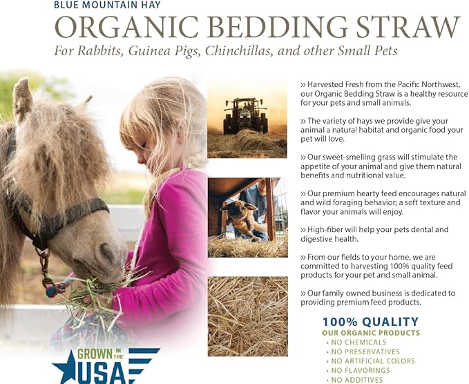 Blue Mountain Hay | Organic Bedding Straw (25 lb) | Natural Pet Bedding & Insulation for Rabbits, Guinea Pigs, Goats, Chickens, Stray & Feral Cats, and Small Animal Shelters
