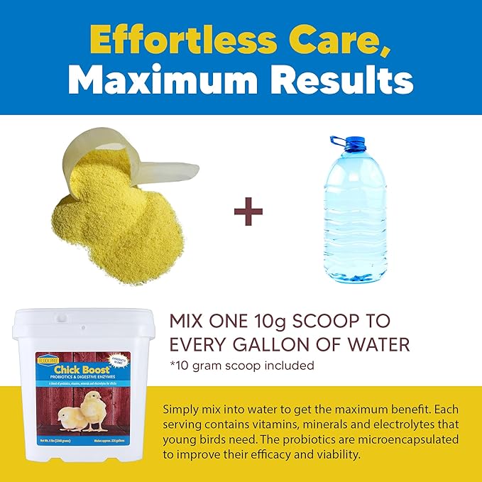 Equerry's Flock PRO Chick Boost Probiotic - Probiotics, Vitamins, Minerals and Electrolytes for Chickens | Chicken Vitamins and Supplements for All Poultry - 5lb