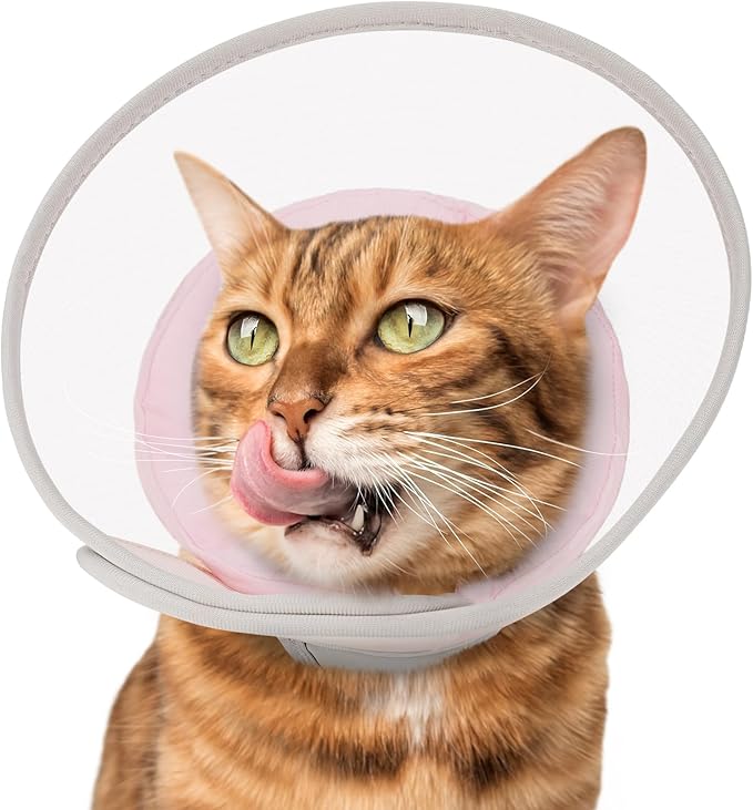 Cat Cone Collar Soft: Comfortable Waterproof Mesh Recovery Cone After Surgery to Stop Licking and Scratch, Alternative to Plastic Elizabeth Head/Neck Cone(Pink, M)