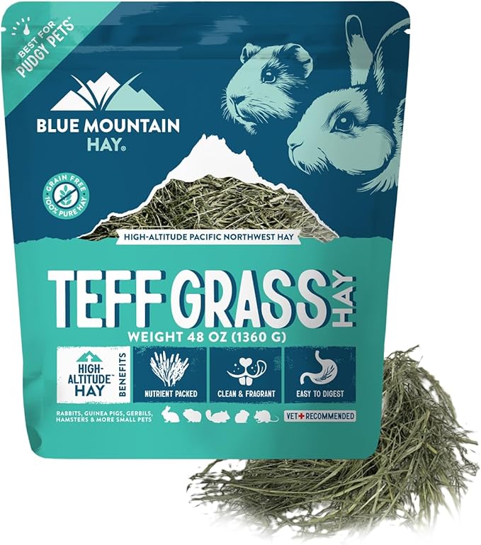 Blue Mountain Hay | Fresh Teff Grass Hay (48 Ounce) | Low NSC, High Fiber, Healthy Weight Management | High-Altitude Hay Pet Food for Rabbits, Guinea Pigs, Chinchillas, Hamsters, and Other Small Pets