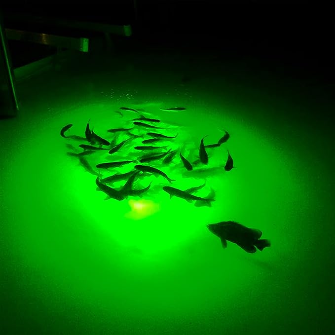 Underwater Fish Light 175-watt Single Dock Light for Fresh or Salt Water, Easy to Install, Attracts Fish, Dusk to Dawn Operation