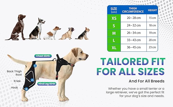 Dog ACL Knee Brace for Back Left Leg - with Integrated Harness - for Cruciate Ligament Injuries, Patellar Luxation, Post-Surgery Recovery. Durable, Breathable Material, Eases Pain - (Medium)