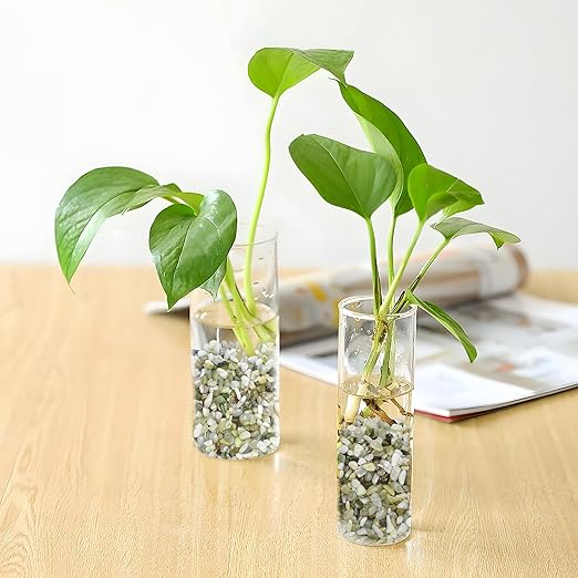 5LB Succulent and Cactus Pebbles, 1/5 Inch Jade Pebbles for Indoor Plants, Decorative Gravel for Vases, Bamboo, Succulent, Terrarium, Crafts, Cactus