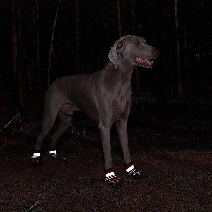 Dog Shoes Winter Snow Boots for Large Size Medium Dogs Reflective Anti-Slip Paw Protectors for Rain Booties Hot Pavement Hardwood Floors Running Water-Resistant Dog Shoes(Red, 2# (2XS))