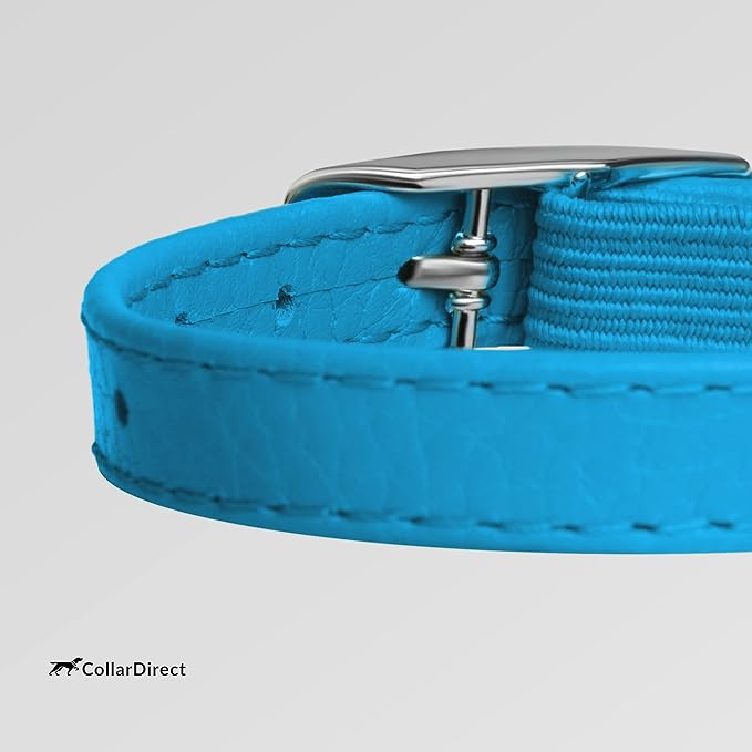 CollarDirect Leather Cat Collar, Kitten Collar with Removable Bell Black Blue Red Orange Lime Green (6-7 Inch, Light Blue)