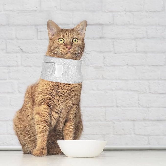 Cat Neck Brace, Adjustable Breathable Elizabethan Collar for Pet After Surgery Recovery Cat Neck Cervical Cone for Small Medium Dogs Puppies Kittens with Neck Circumference 8.2-10.2 Inch (Grey, S)