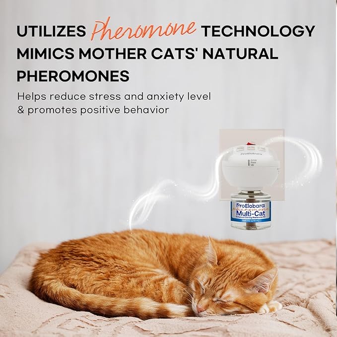 Cat Calming Pheromone Diffuser: Cat Calming Pheromones Diffusers - Reduces Stress & Anxiety with Calming Pheromones