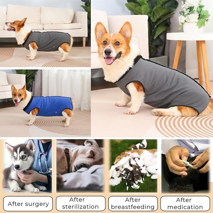 Dog Surgery Recovery Suit,Abdominal Surgical Suit for Dogs,Recovery Suit for Dogs,Prevent Licking Surgical Wound Dog Cone Alternative Grey S