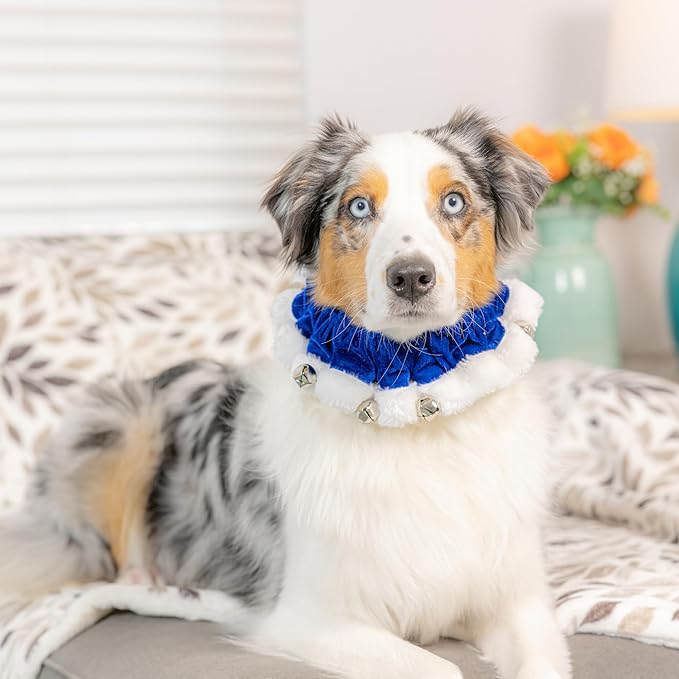 Huxley & Kent Ruff Pet Scrunchy | Hanukkah (Medium) | Festive Christmas/Holiday Neckwear for Dogs/Cats | Fun Stretchable Costume Accessory | Soft Collar with Bells