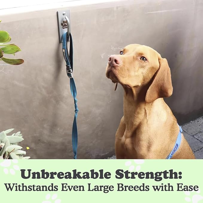 Canine Hitch- Secure Dog Leash Parking Mounted Indoor – Outdoor Wall Hook - Tie Out Stainless Steel Practical Lead Management for Home & Business, Standard Size 2 Pack