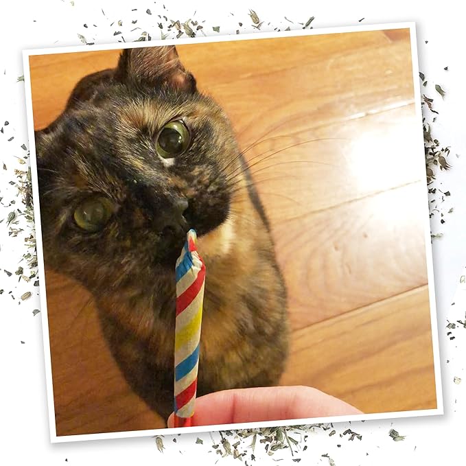 Meowijuana Birthjays Bundle | Birthjays Catnip Joints and Get Lit Cake Refillable Toy | Hand Harvested and Rolled Dried High Potency Catnip | Grown in North America