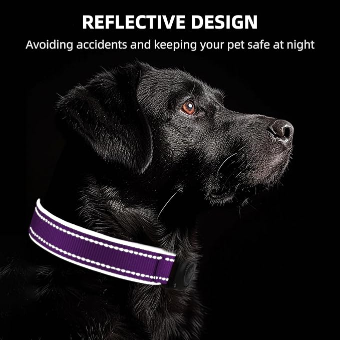 Airtag Dog Collar - 100% Waterproof Air tag Dog Collar Holder for Apple AirTag, Reflective, Soft Padded, Everlasting, GPS Dog Collar for Small Medium Large Dogs (Purple, XL)