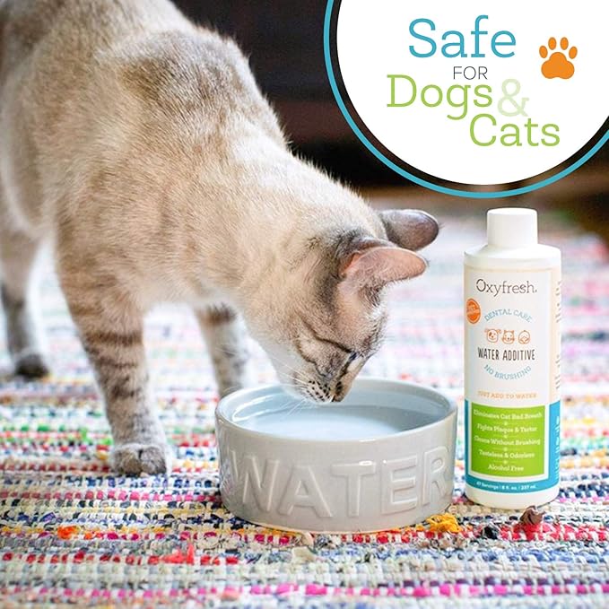 Oxyfresh Premium Pet Dental Care Solution Pet Water Additive: Best Way to Eliminate Bad Dog Breath and Cat Bad Breath - Fights Tartar & Plaque - So Easy, Just Add to Water! Vet Recommended 128 oz.