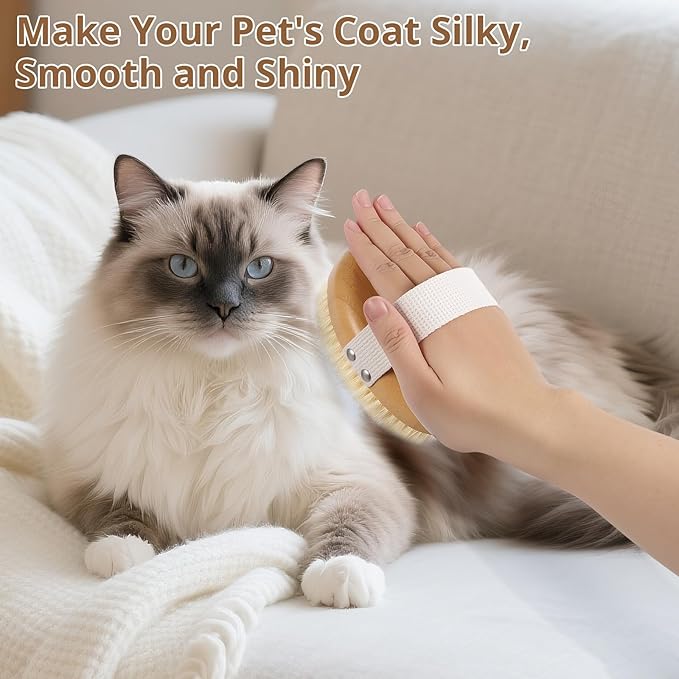 Boar Bristle Cat Brush for Indoor Cats, Cat Hair Brush Gentle Grooming, Reduce Shedding, Soft Hair and Healthy Shine, Bamboo Handheld with Soft Boar Bristles and Band for Short Haired Cats Dogs